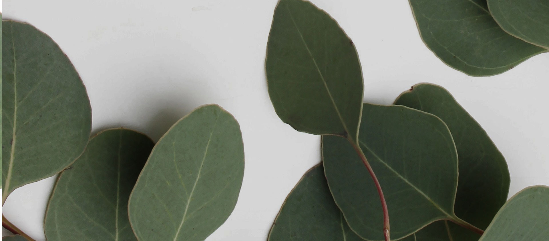 Взыскание ущерба от экологических правонарушений в Большеречье